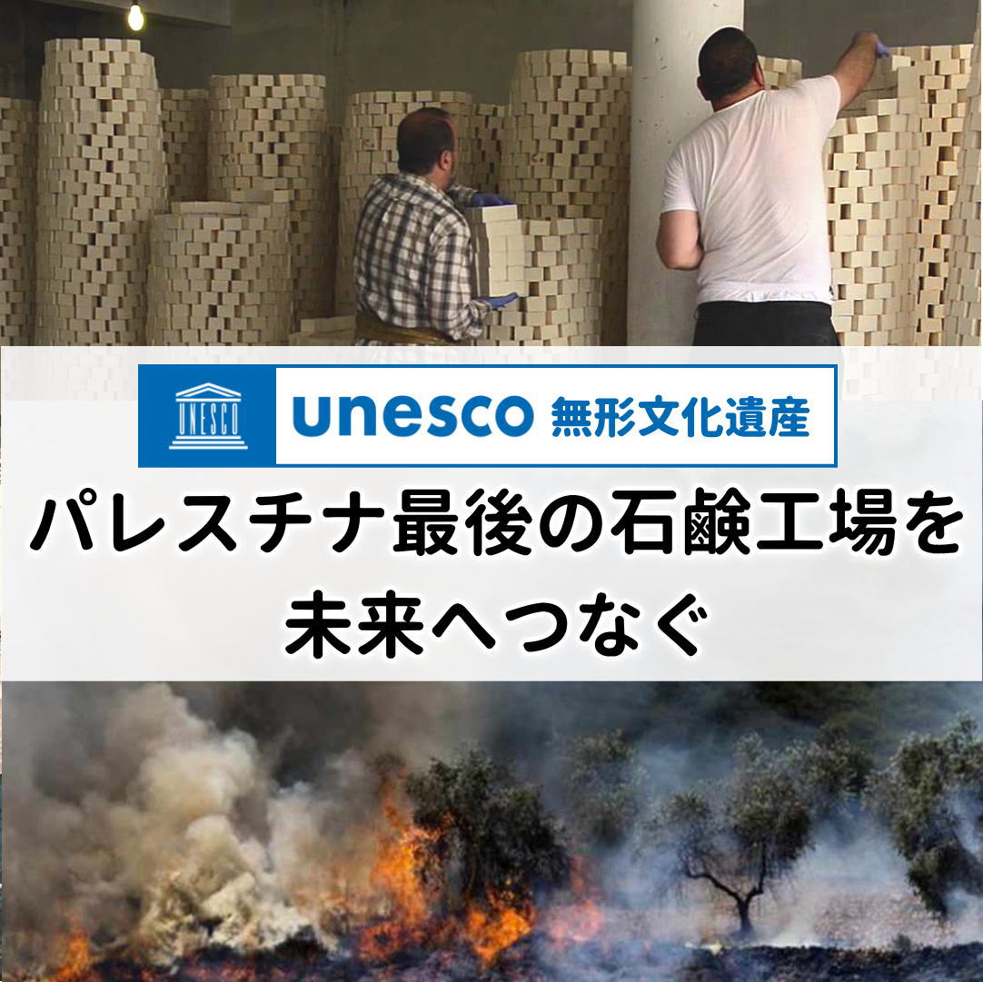 【パレスチナ最後の石鹸工場】【NABLUS SOAP / ナーブルスソープ 】フェイスクリーム オリーブプラス 50g ※2025年12月発送予定