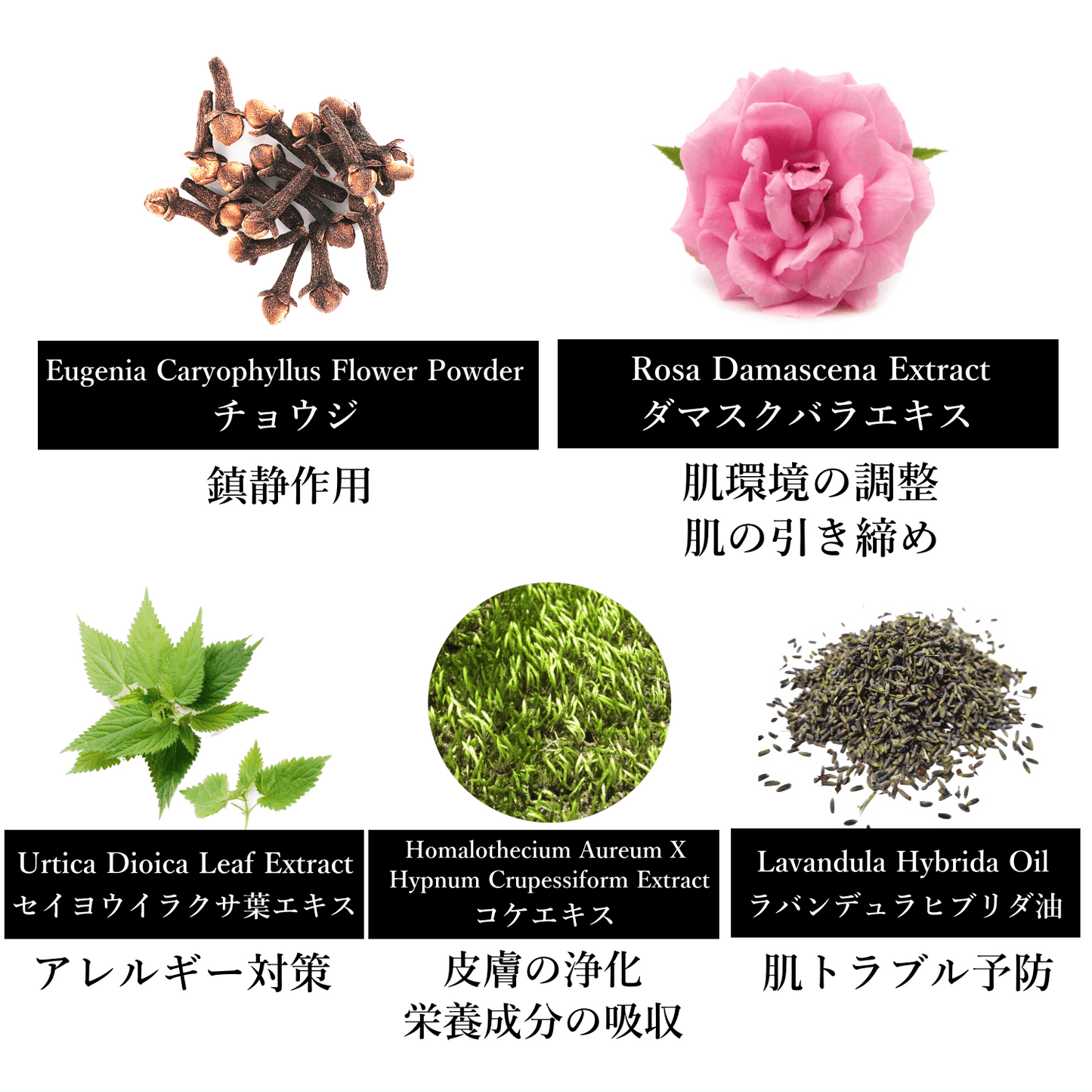 NECTAROME ネクタローム 7種類のアロマ配合 ガスール 200g - YOUR ORGANICS