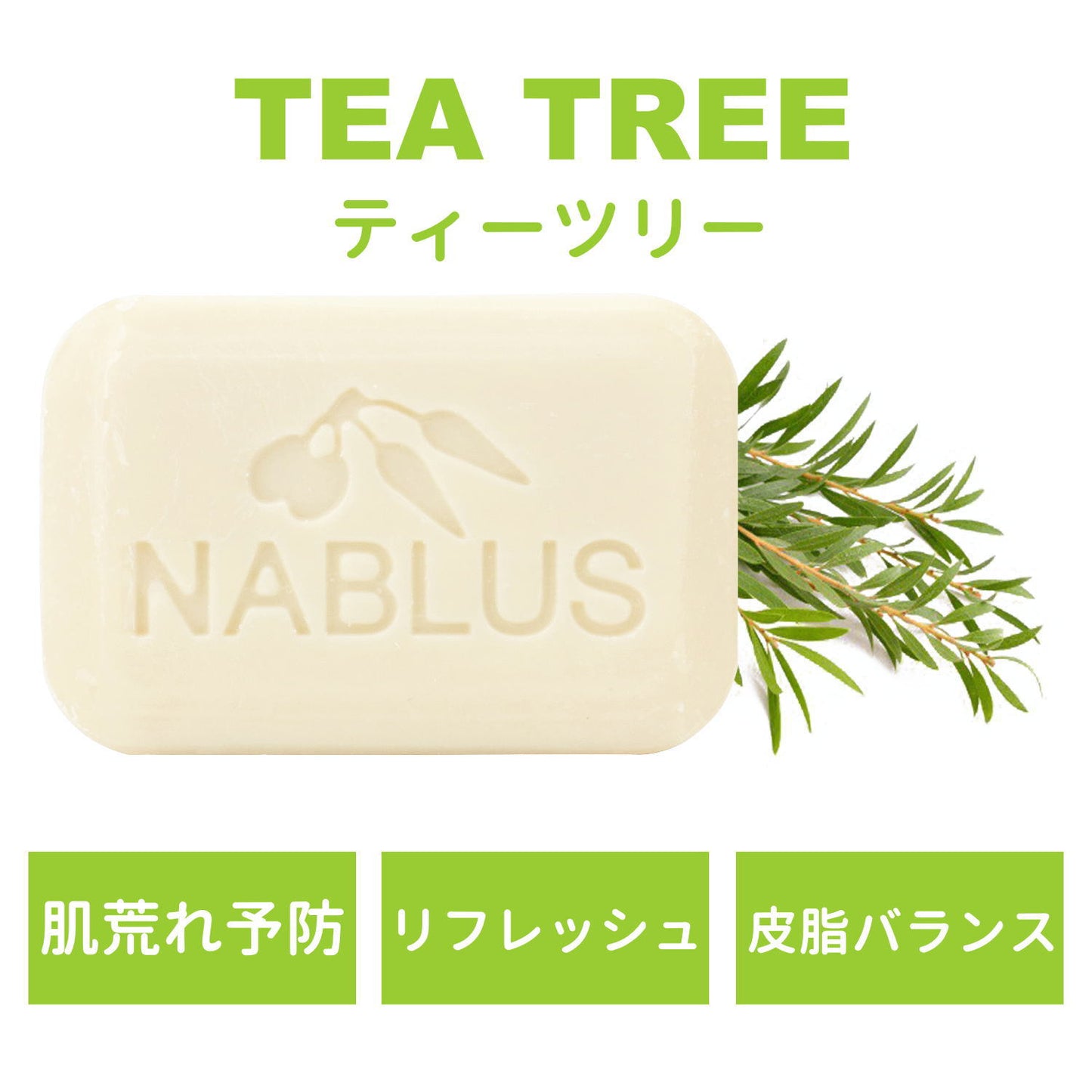 【パレスチナ最後の石鹸工場】存続の危機にあるパレスチナ伝統石鹸を未来につなぐ