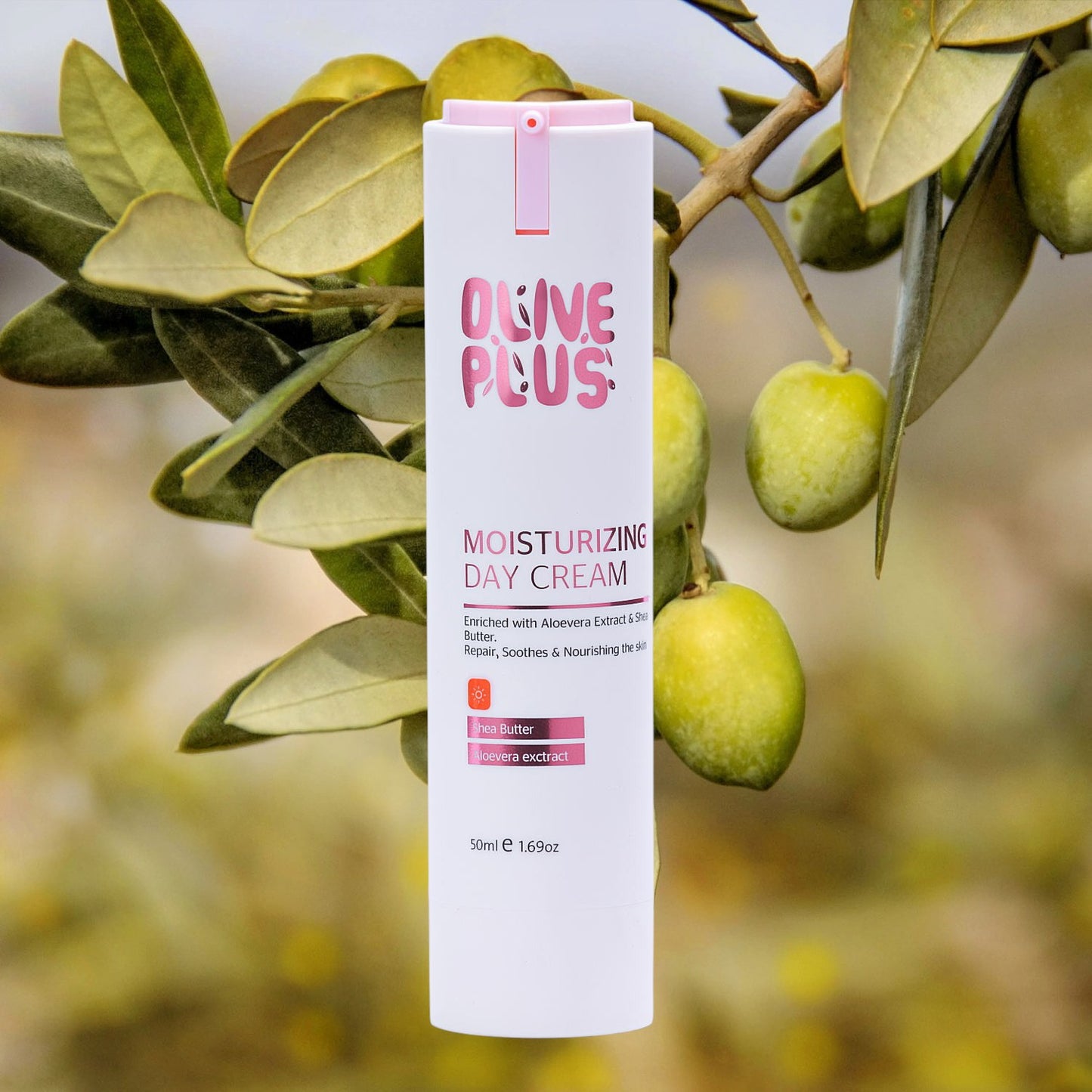 【パレスチナ最後の石鹸工場】存続の危機にあるパレスチナ伝統石鹸を未来につなぐ