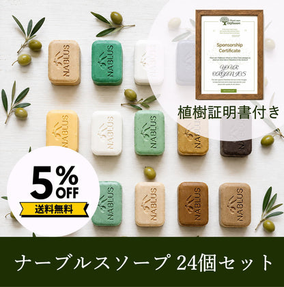 【植樹証明書付き】ナーブルスソープ 24個セット（種類はおまかせ）｜オリーブの木を未来へつなぐ特別セット（送料無料）